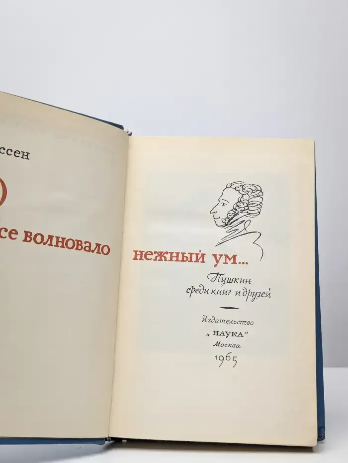 Все волновало нежный ум...