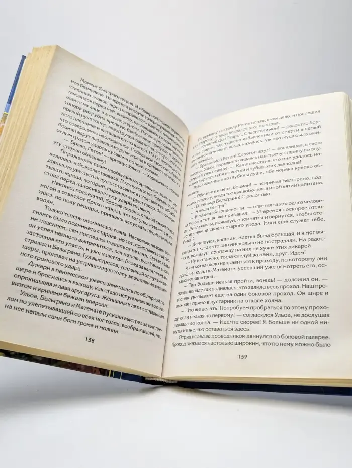 Сокровище Голубых гор. Приключения Шарло