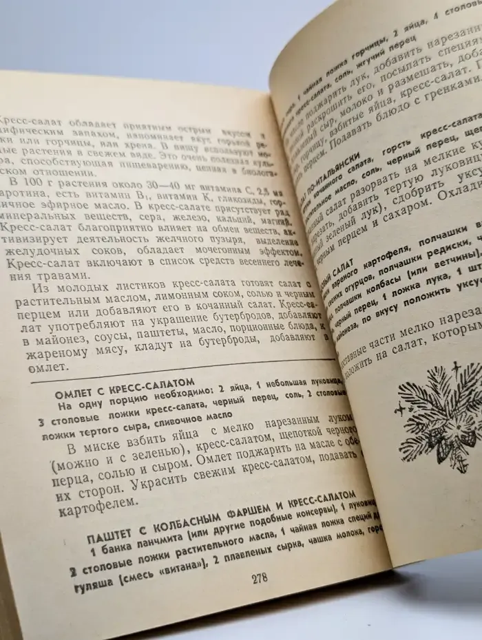 Из леса и огорода - от весны до зимы