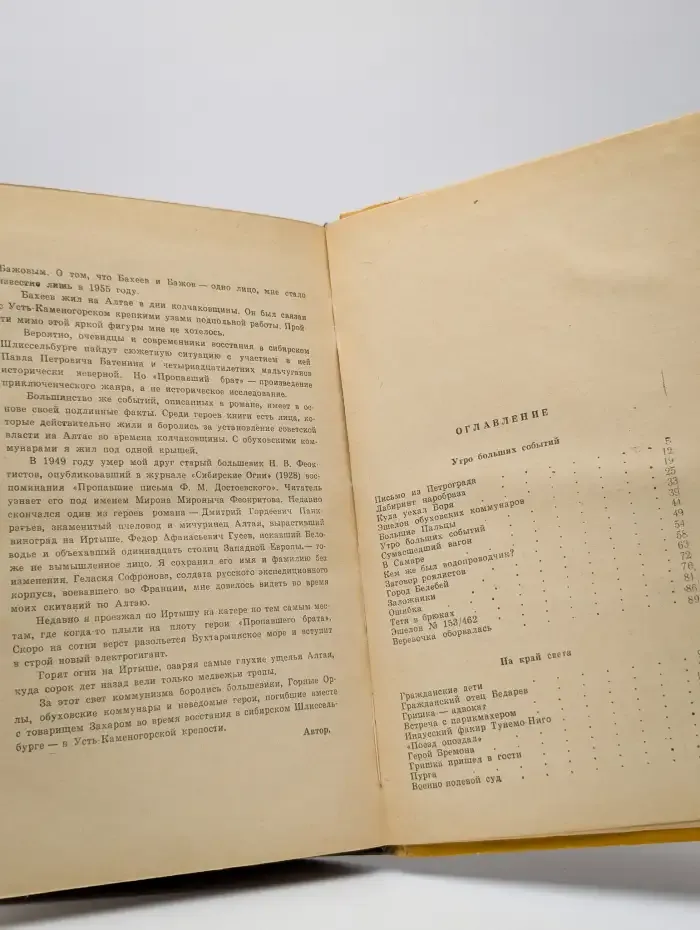 Пропавший брат