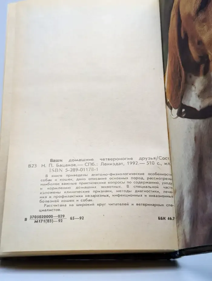 Ваши домашние четвероногие друзья