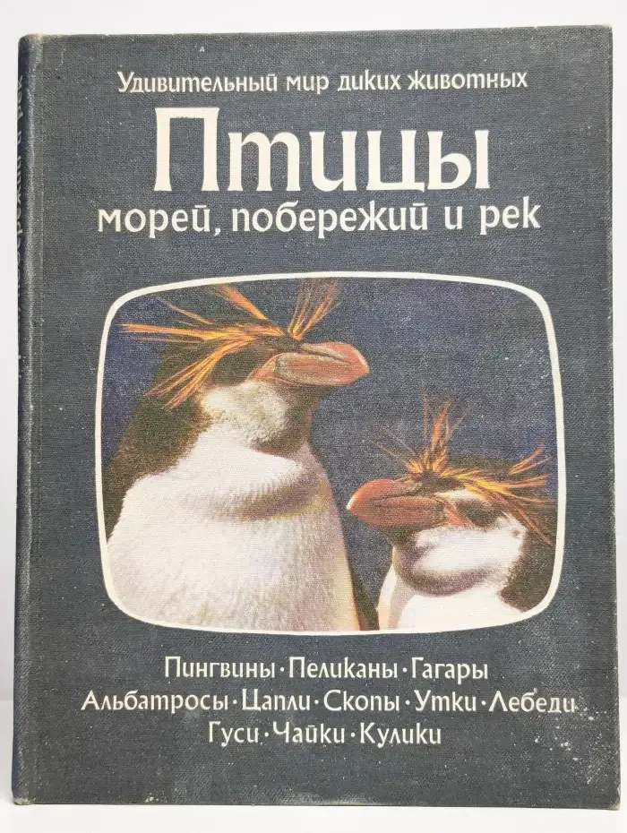 Птицы морей, побережий и рек