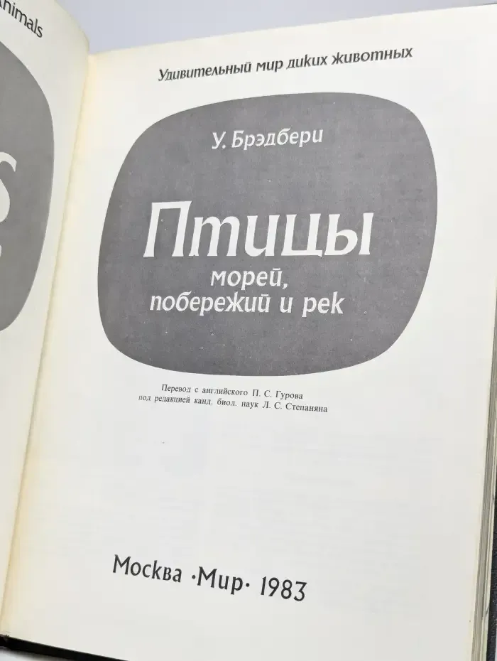 Птицы морей, побережий и рек