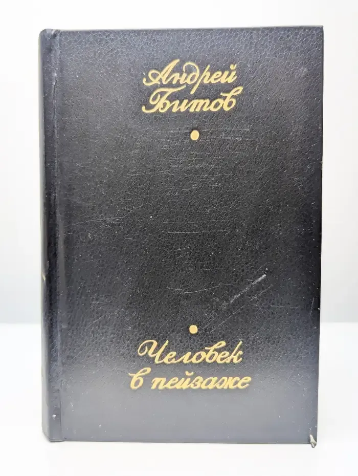 Человек в пейзаже. Повести и рассказы