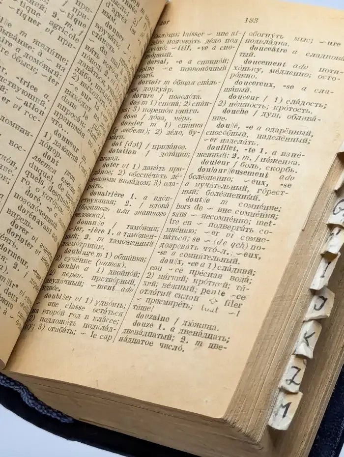 Французско-русский словарь