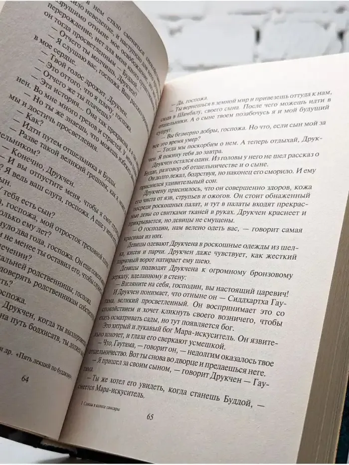 Спицы в колесе Сансары