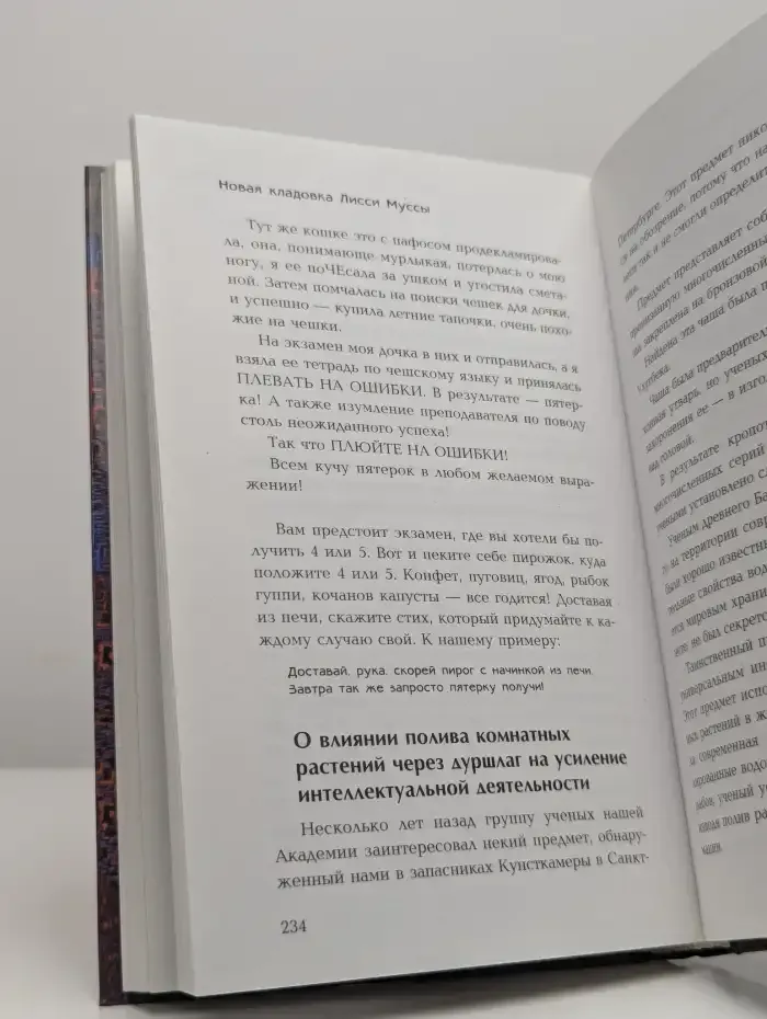 Новая кладовка Лисси Муссы