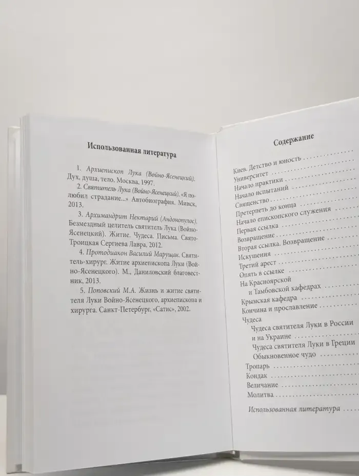 Святитель Лука