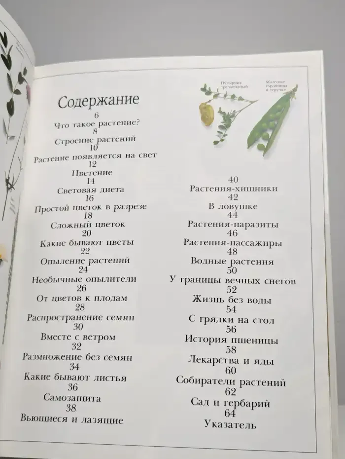 Растение