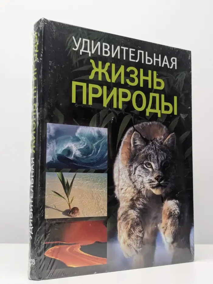 Удивительная жизнь природы