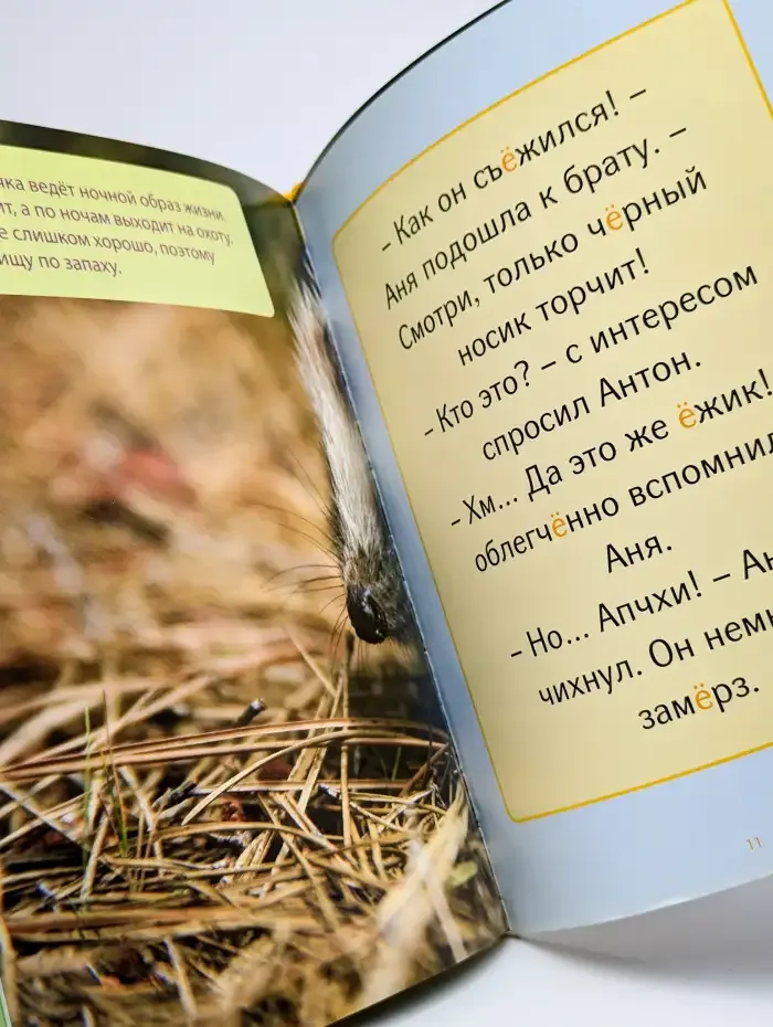 Моя веселая азбука. Выучи букву Ё