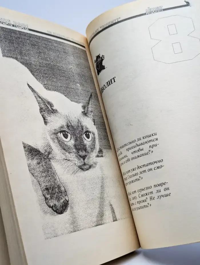 100 кошачьих "Почему?"