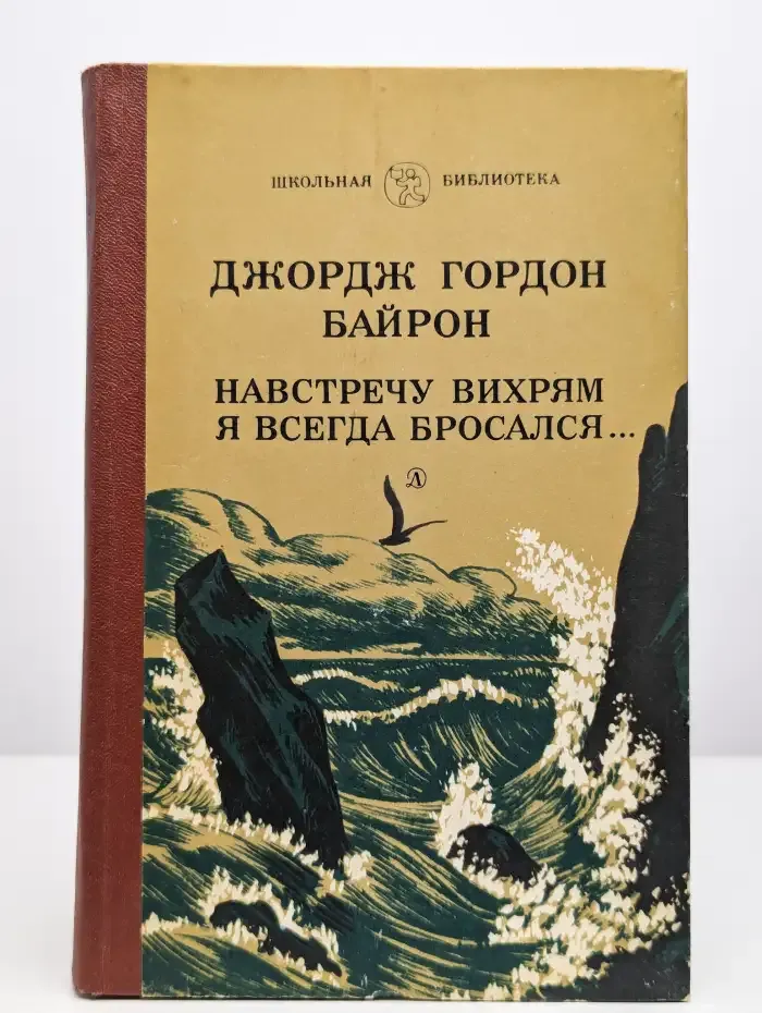 Навстречу вихрям я всегда бросался...