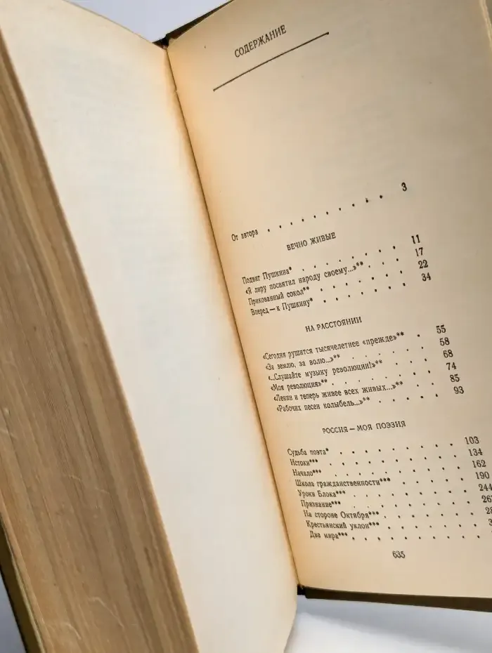Время. Поэзия. Критика