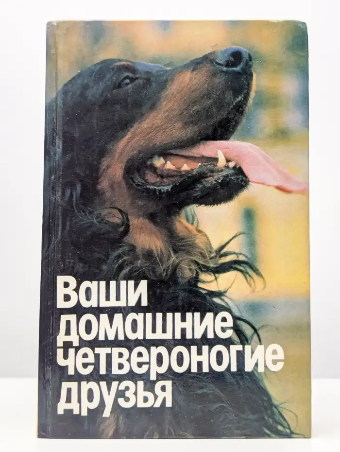Ваши домашние четвероногие друзья