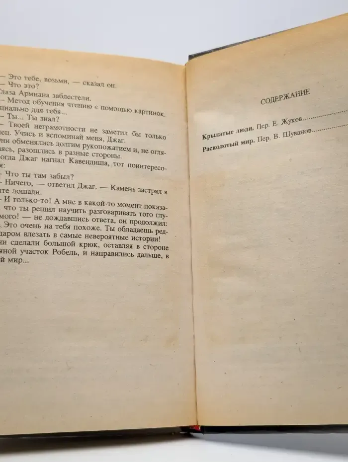 Расколотый мир. Крылатые люди
