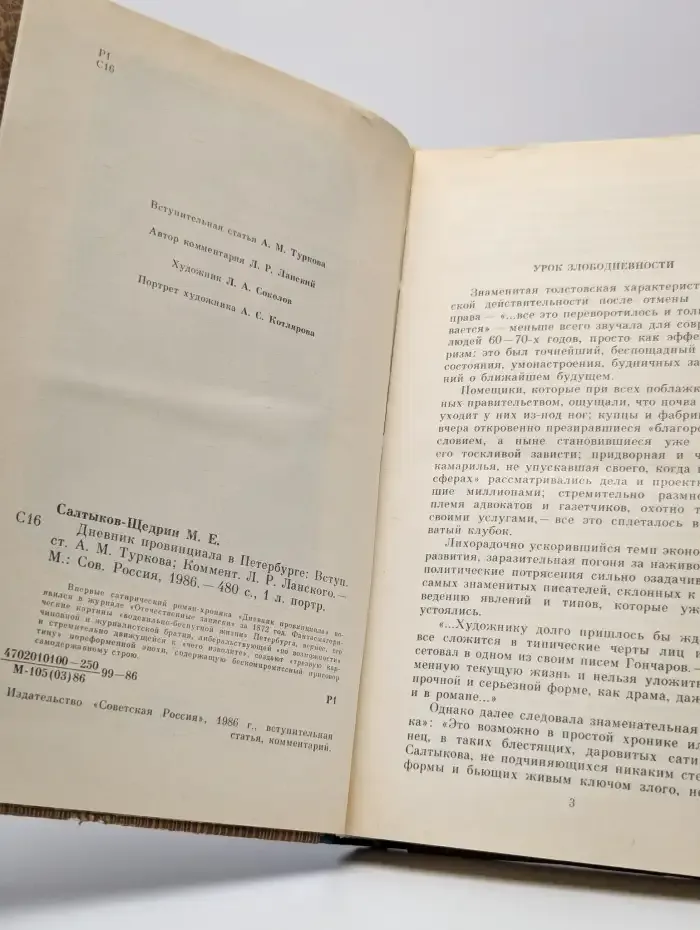 Дневник провинциала в Петербурге