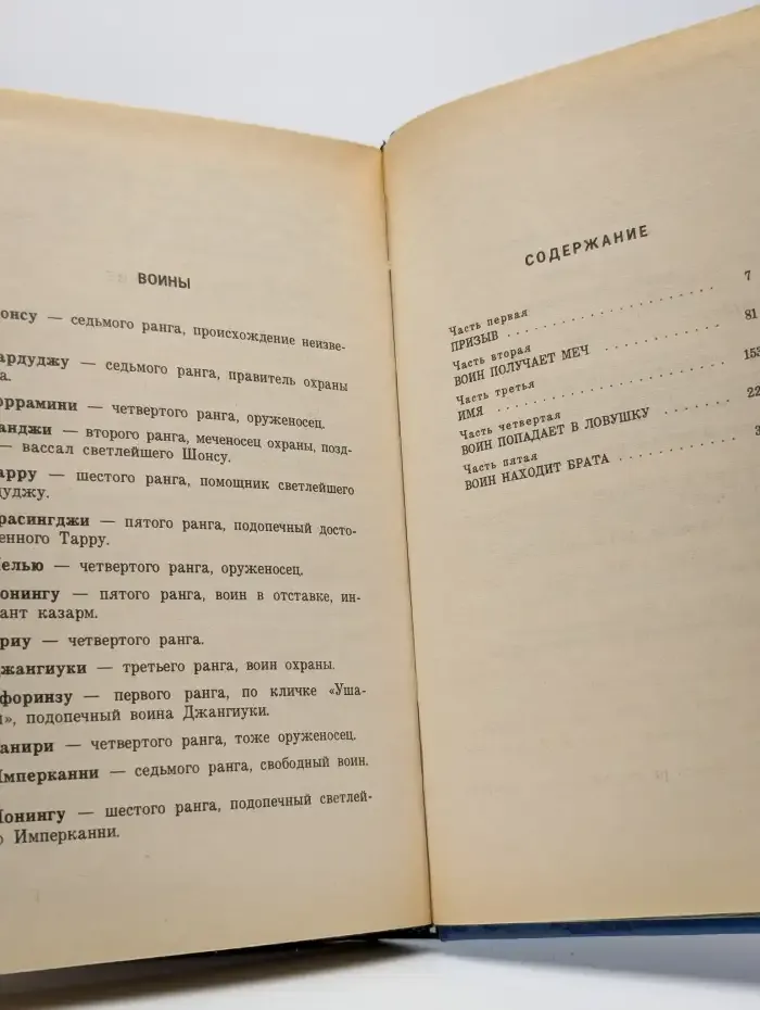 Воин поневоле