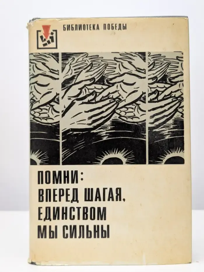 Помни: вперед шагая, единством мы сильны