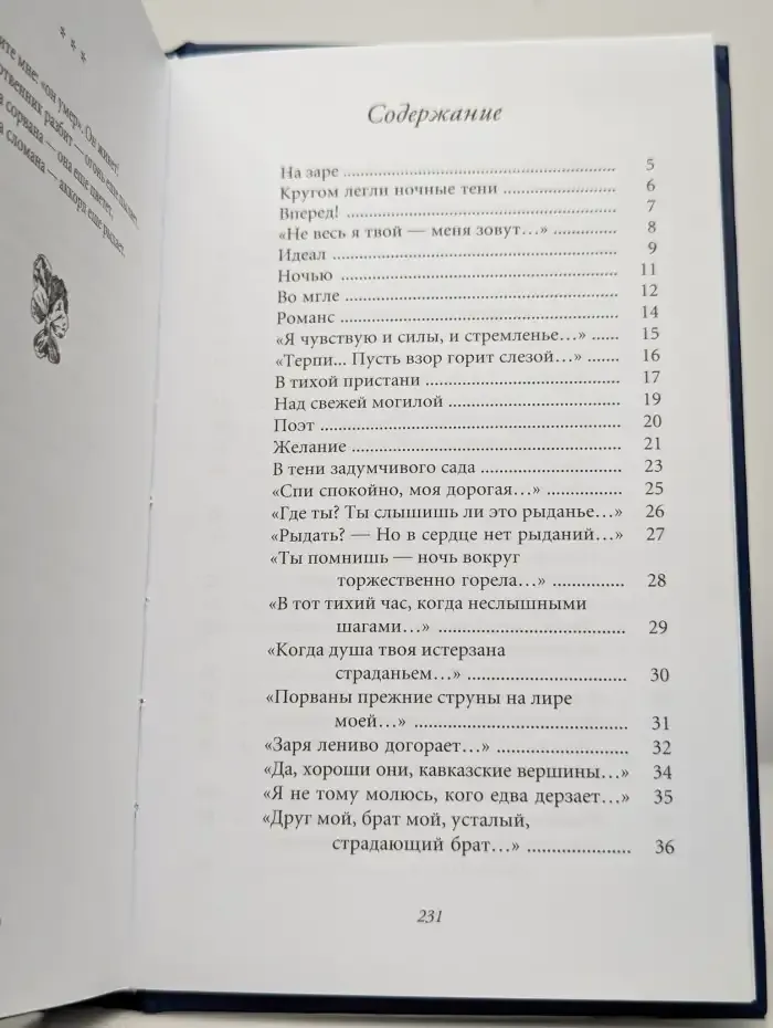 Ночные тени