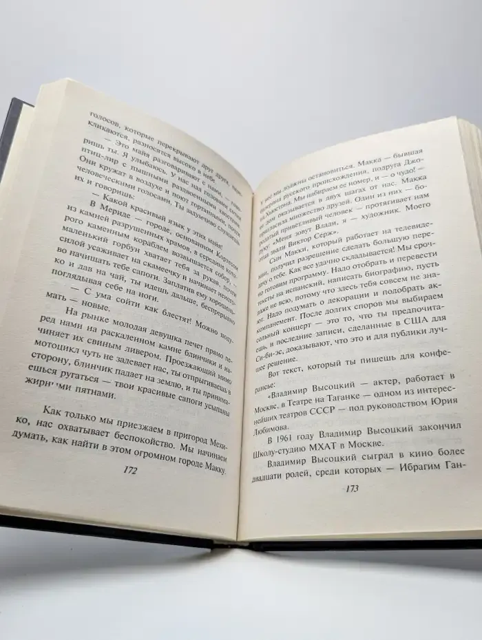 Владимир, или Прерванный полет