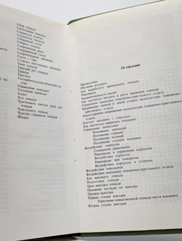 Учебник верховой езды
