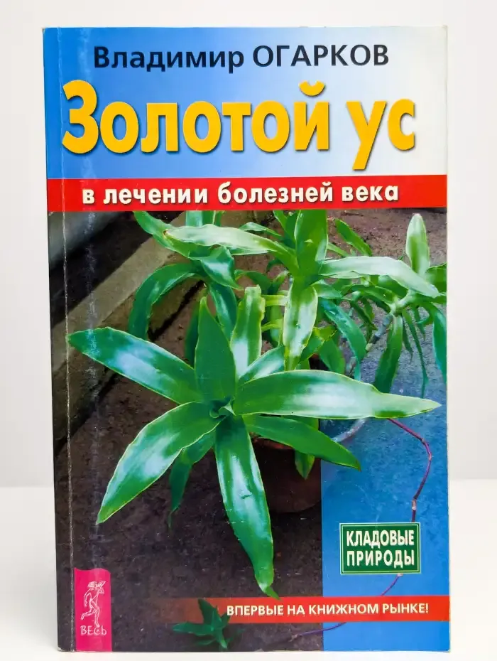 Золотой ус в лечении болезней века