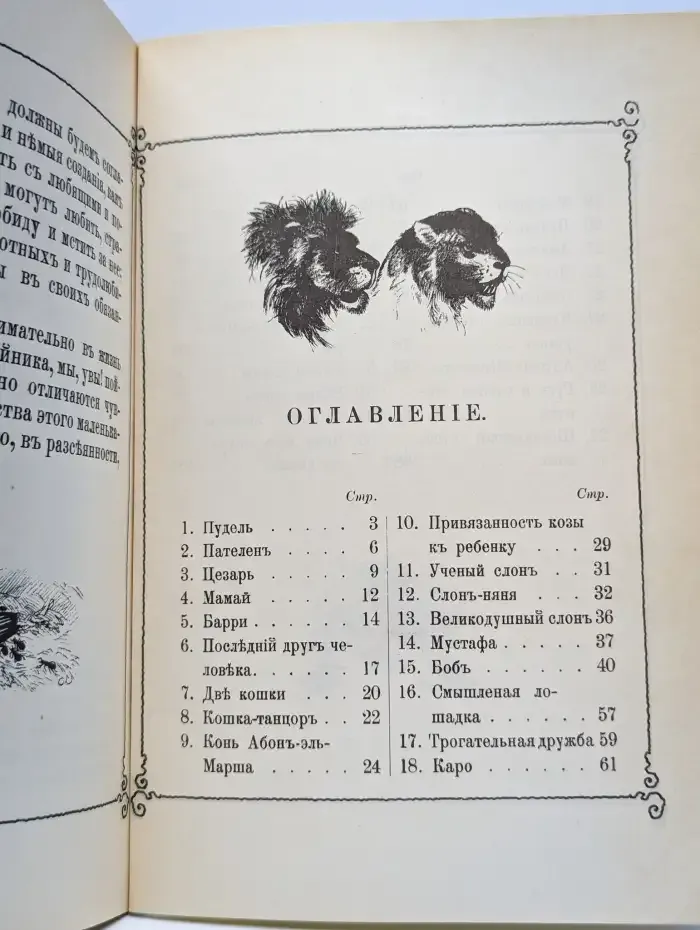 Среди животных