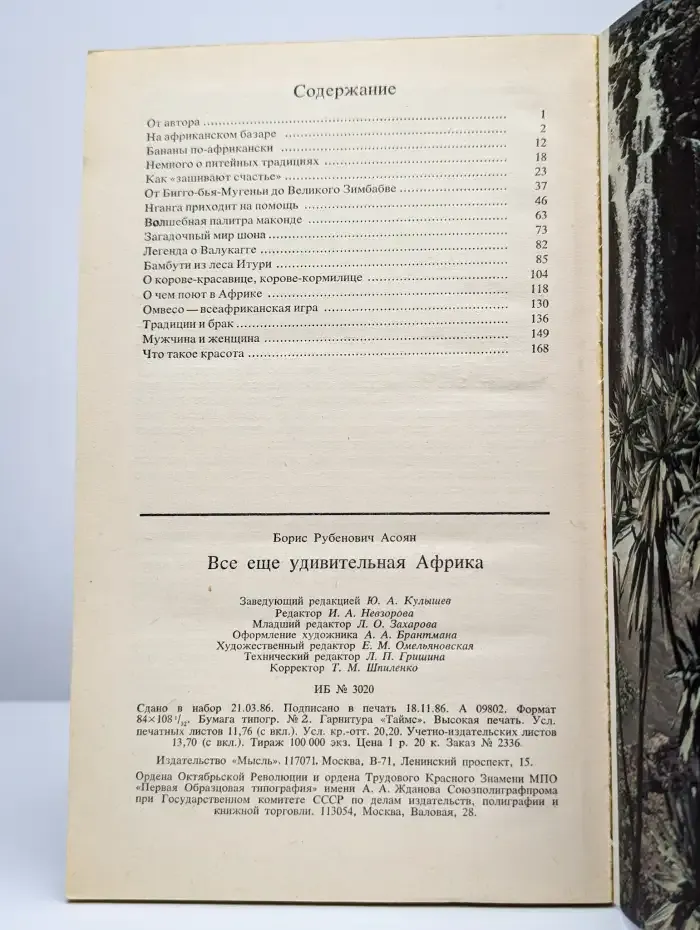 Все еще удивительная Африка