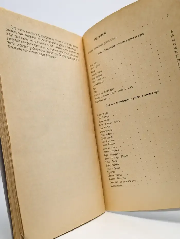 Руковедение