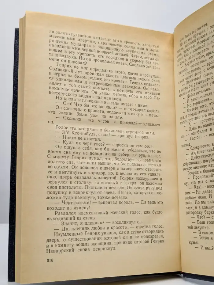 Молодость Генриха IV. В восьми томах. Том 5