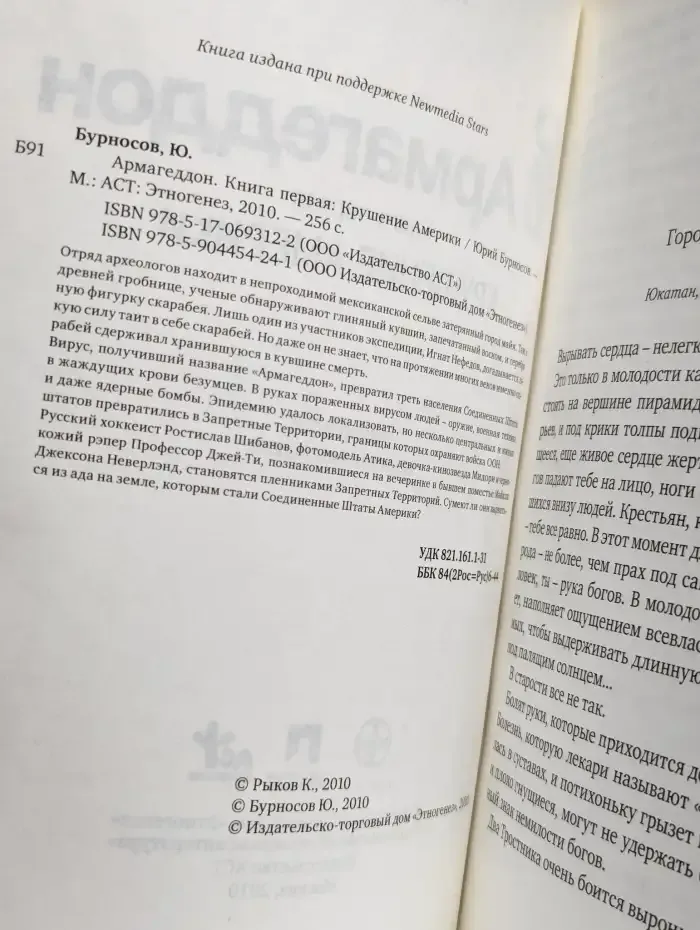 Армагеддон. В 5 книгах. Книга 1. Крушение Америки