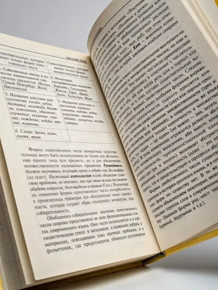 Русский язык. Справочник школьника