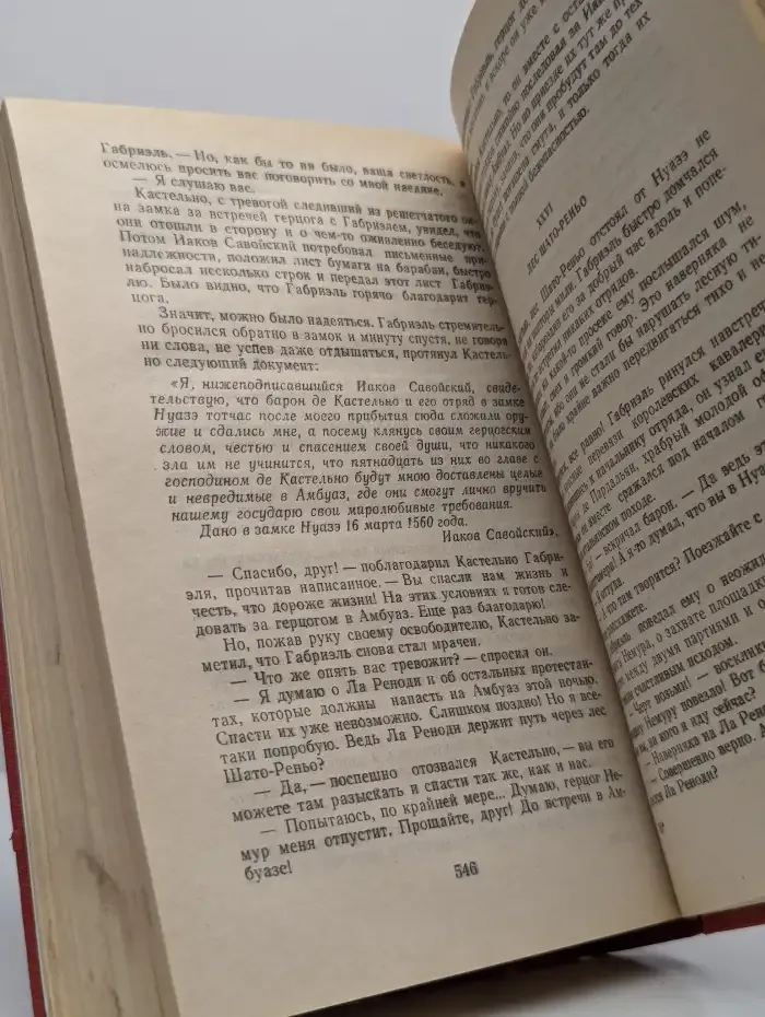 История Европы в романах. XVI век. Две Дианы