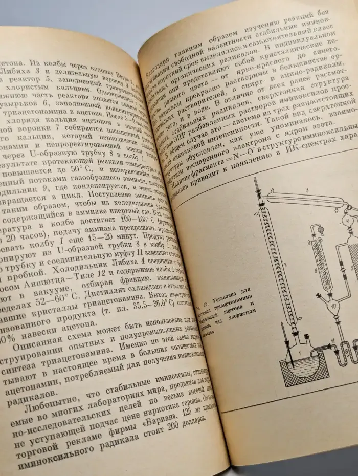 Долгоживущие радикалы