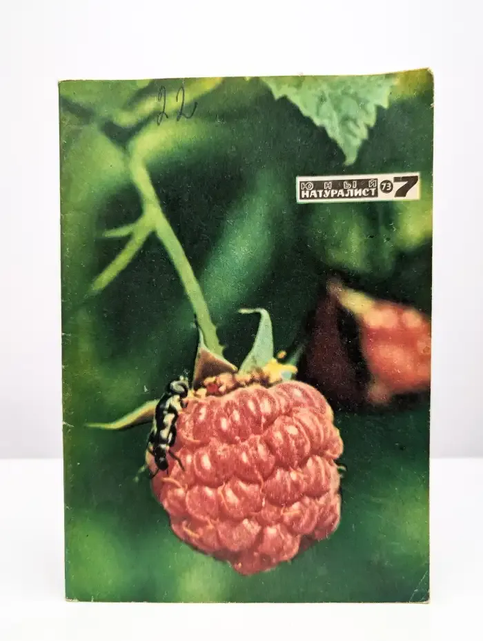 Юный натуралист. Выпуск № 7/1973