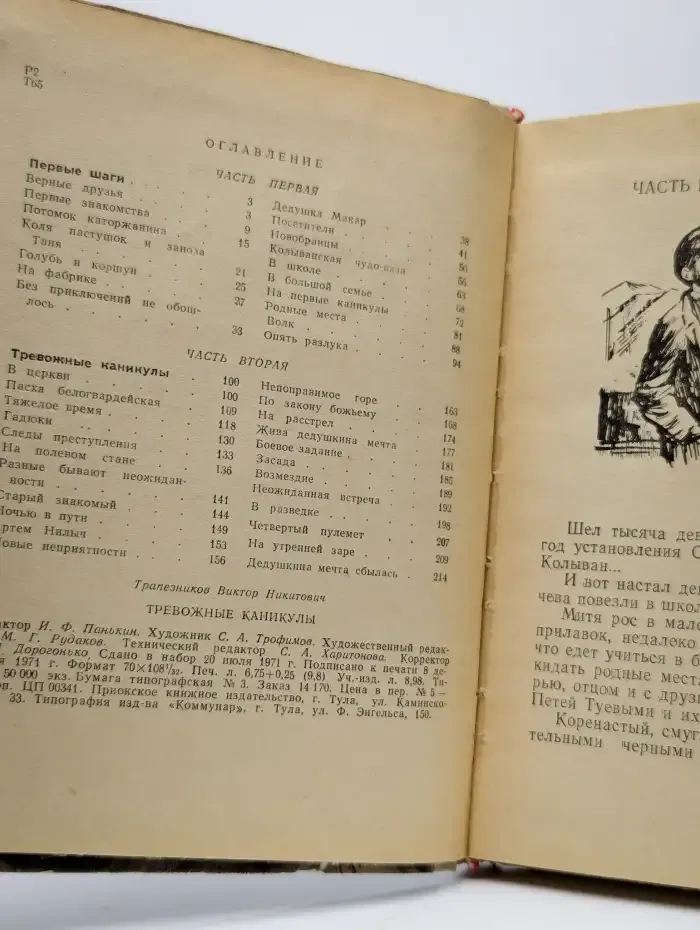 Тревожные каникулы
