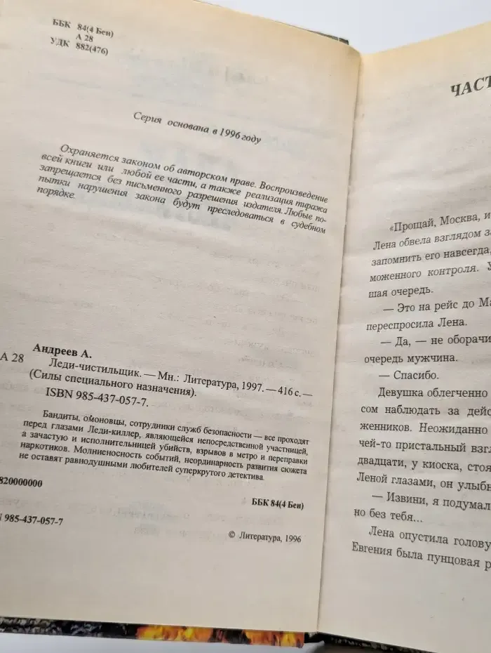 Леди-чистильщик