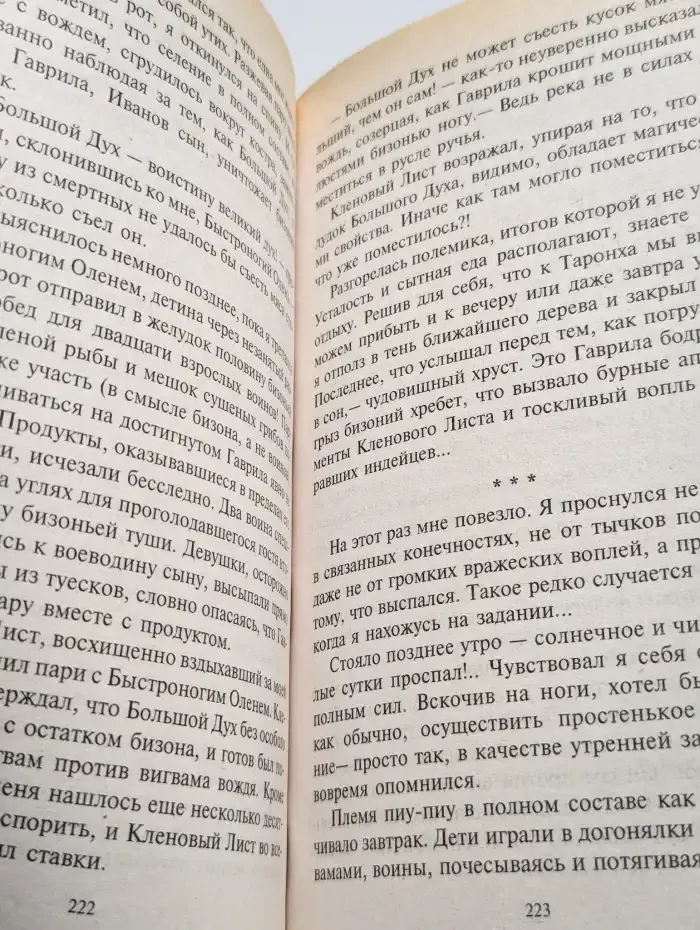 Бес шума и пыли