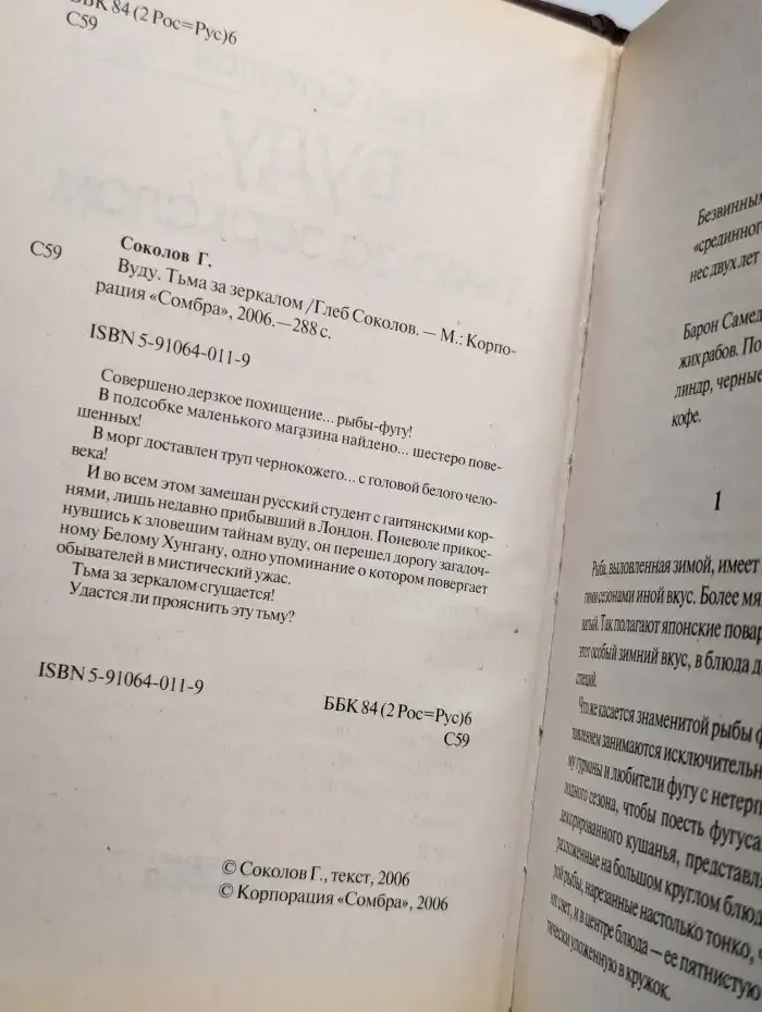 Вуду. Тьма за зеркалом
