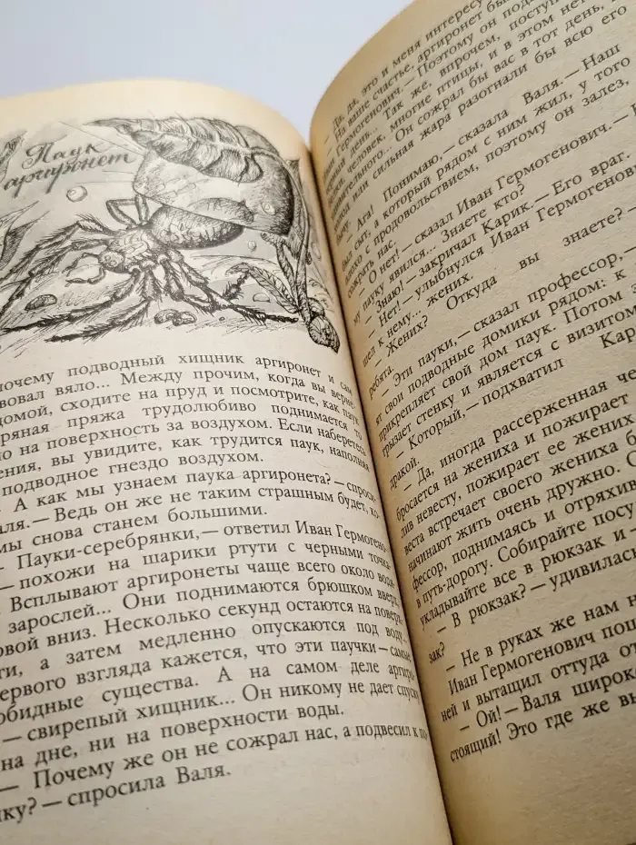 Необыкновенные приключения Карика и Вали
