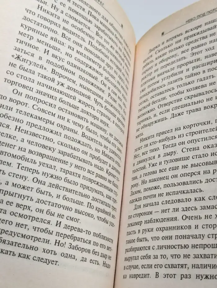 Небо под потолком