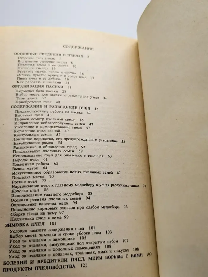 Приусадебная пасека