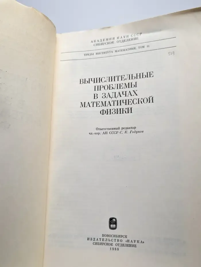 Вычислительные проблемы в задачах математической физики