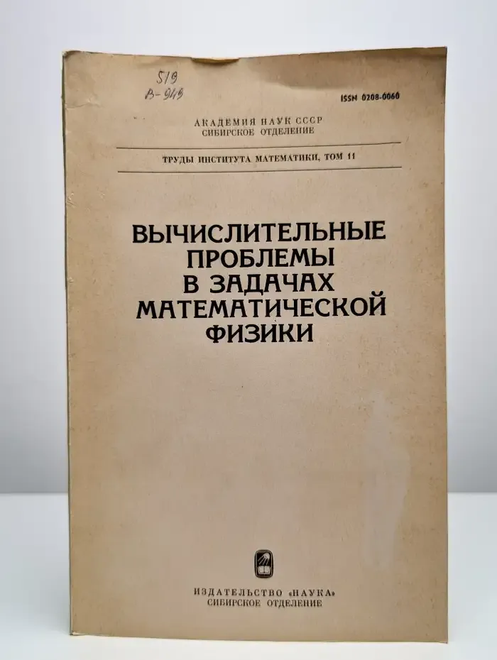 Вычислительные проблемы в задачах математической физики