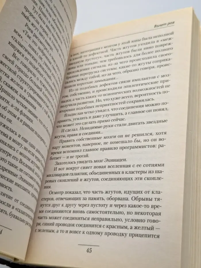 Рой. Взлет роя