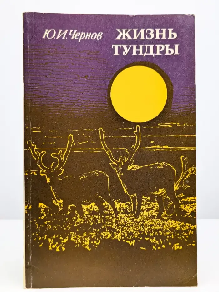 Жизнь тундры