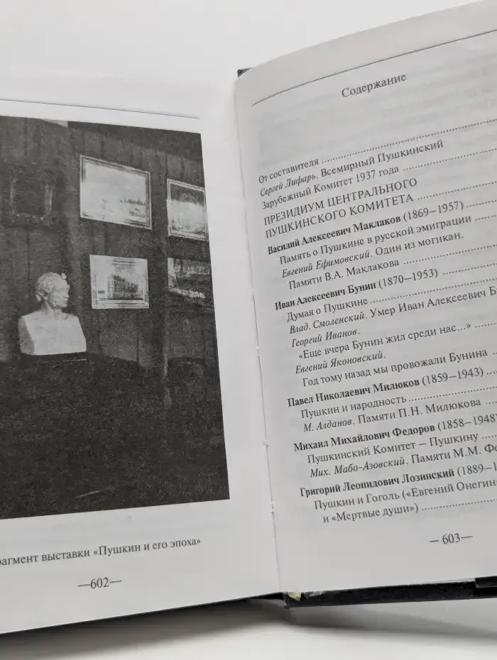 Центральный Пушкинский Комитет в Париже (1935-1937). Книга 1