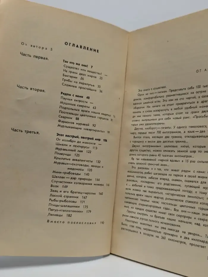 Соты жизни