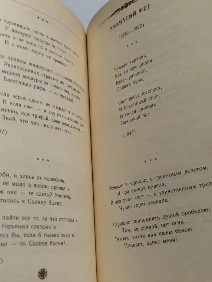 Русская лирика XIX века